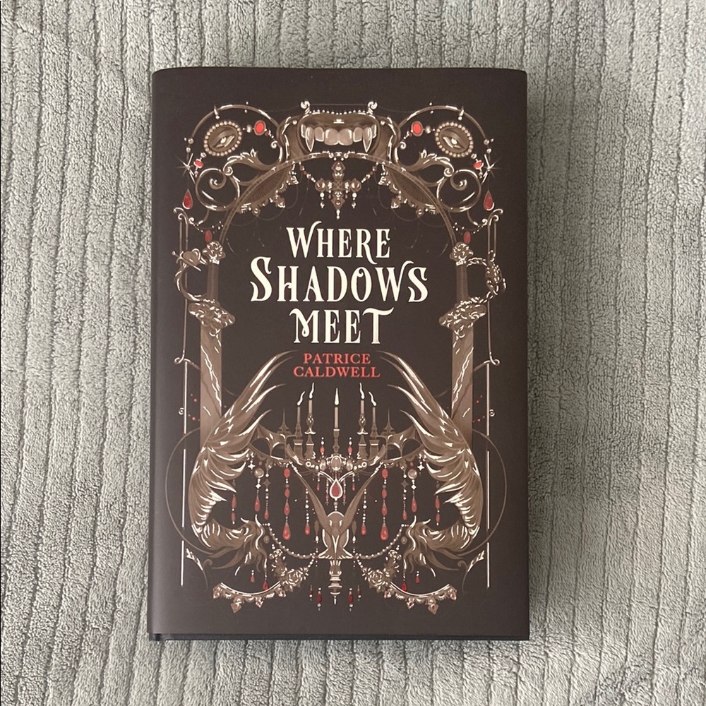 Where Shadows Meet Hardcover Book
